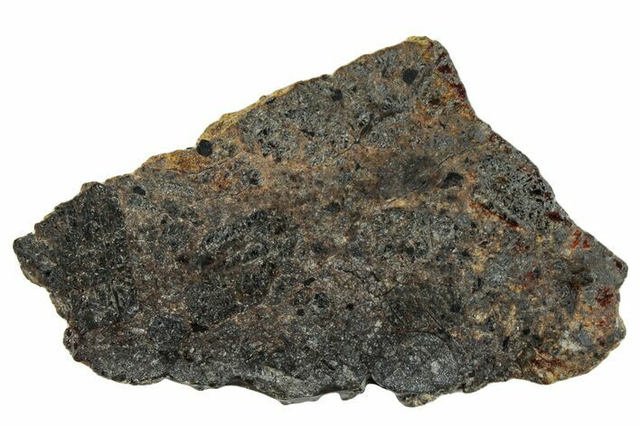 Polished Diogenite Meteorite ( g) Slice - NWA #301052